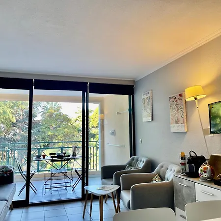 Apartment Duplex Piscine Vue Wifi Parking Clim Cannes