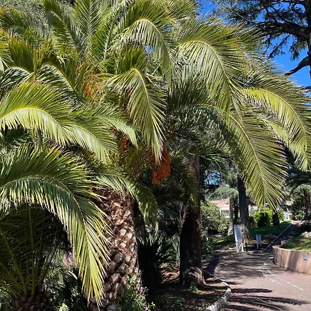 Apartman Duplex Piscine Vue Wifi Parking Clim Cannes